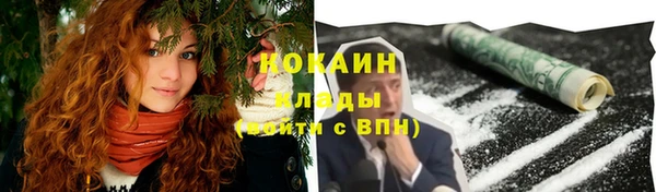 стафф Алексин