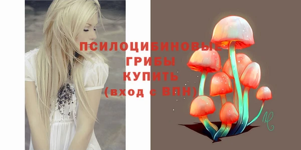 стафф Алексин