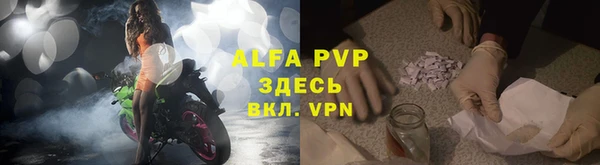 стафф Алексин